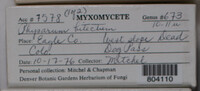Image Associated With the Occurence